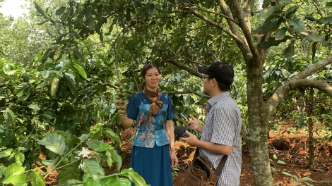Tưk tơiung tơdrong đei yoa đơ̆ng dôm Tơdrong jang tơm kơ teh đak tơ̆ tơring sơlam Lâm Đồng