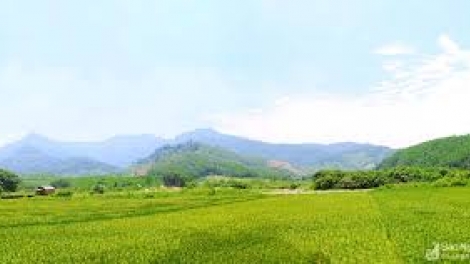 Danak dak sap Cam 09_07_2025