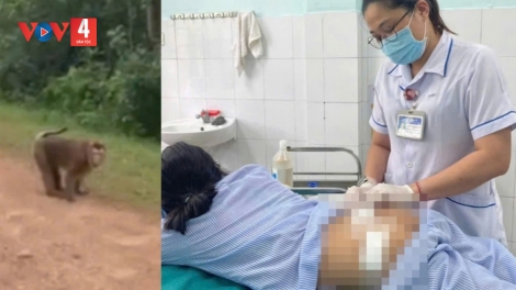 QUẢNG TRỊ: BHOỌT CĂP P’NIÊN RUH 10 C’MOO CRÊÊ BHRÊY 