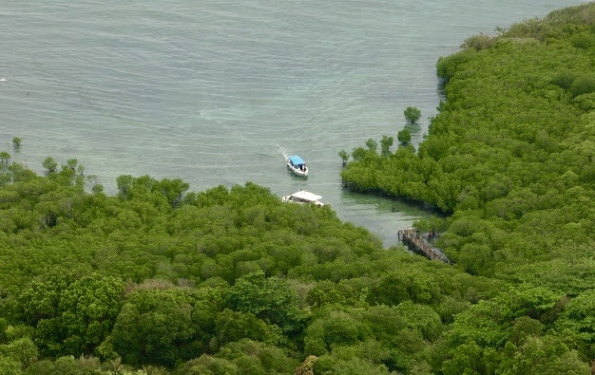 Côn Đảo uak drei patagok