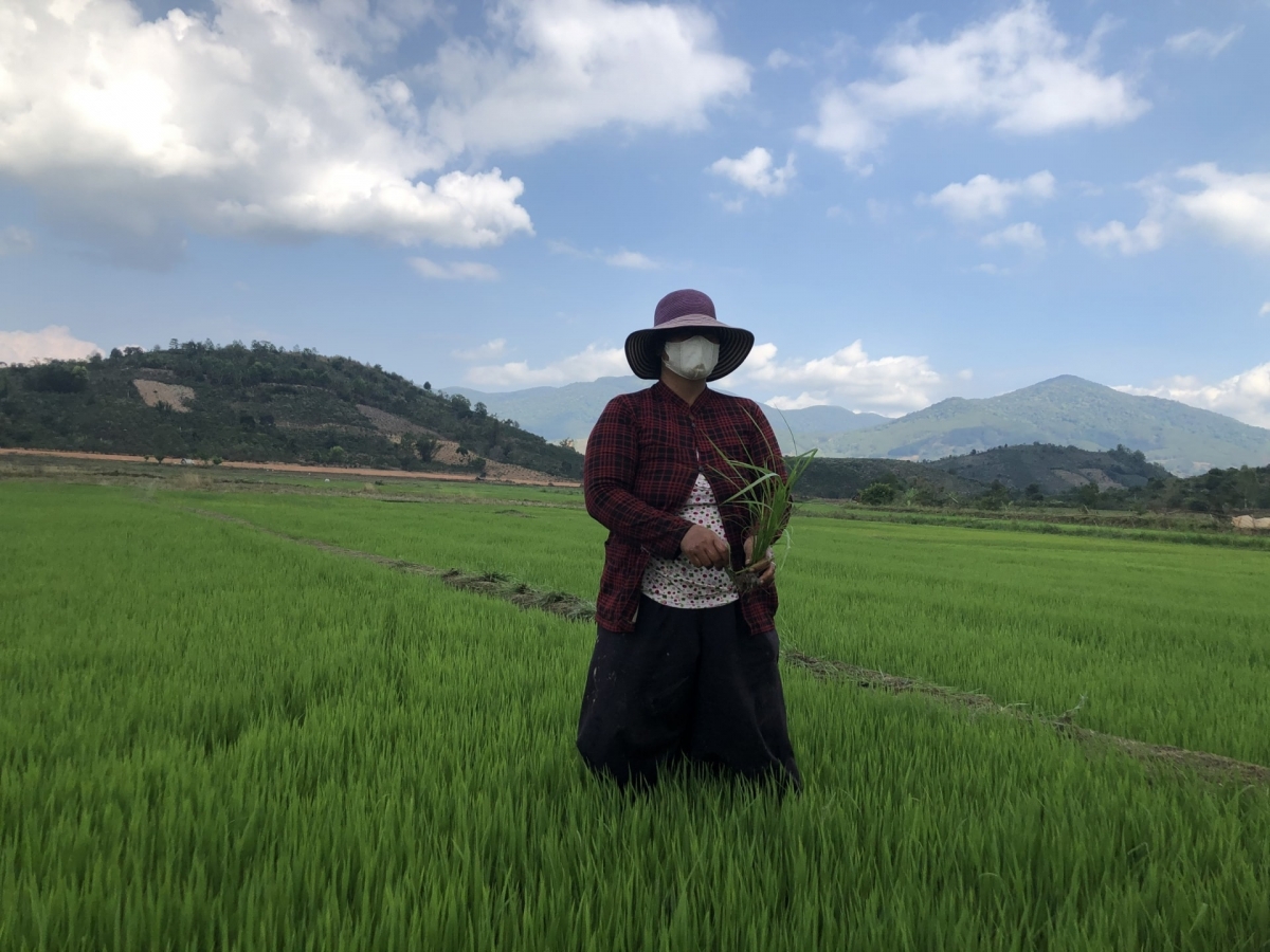 Hu karja daong mikva puk palei sahanang hatai ngak mbang