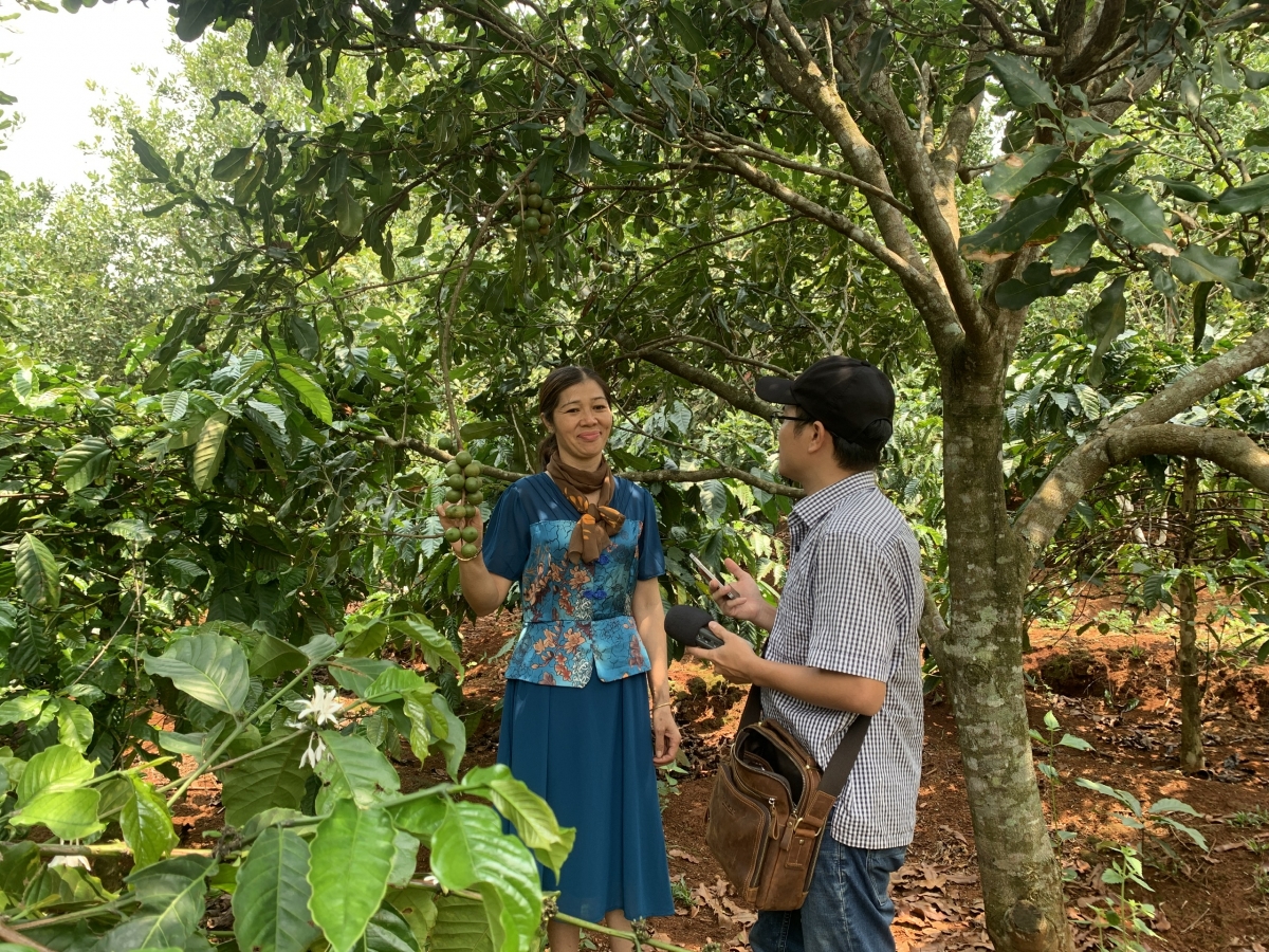 Mâu kơxô̆ liăn ‘no pêi cheăng hiăn pơ’lêh tơmeăm khoăng a mâu cheăm hơngê hơngo, kơpong kuăn ngo kong pơlê Dak Nông