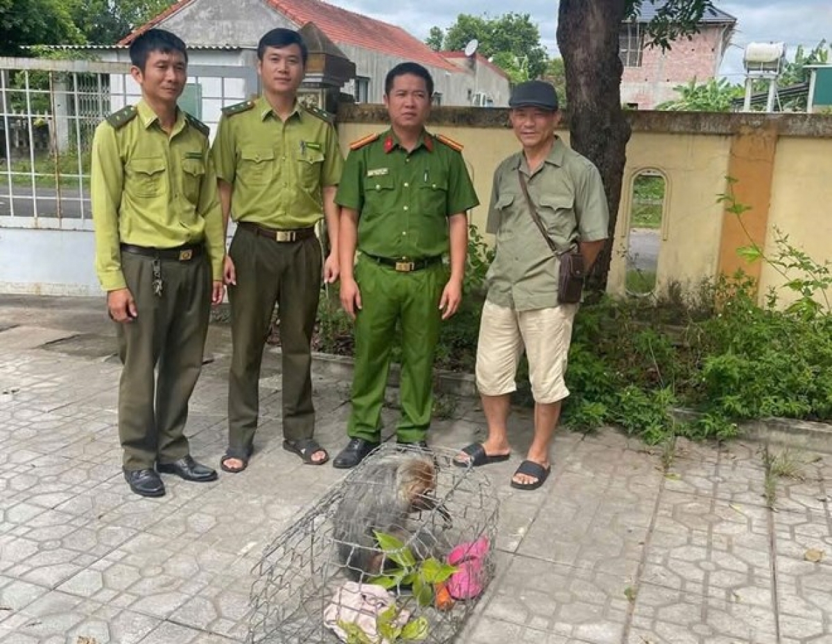 Bàn giao cá thể khỉ mặt đỏ cho Hạt Kiểm lâm Quảng Ninh - Ảnh: TĐ