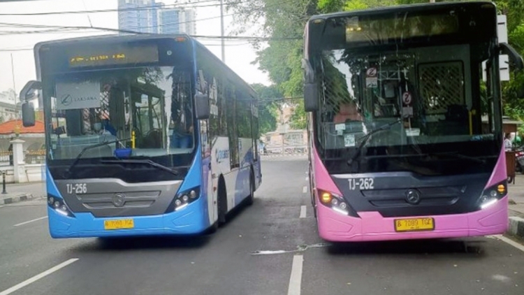 Indonesia: “Xe buýt hồng” giảm nguy cơ quấy rối hành khách nữ
