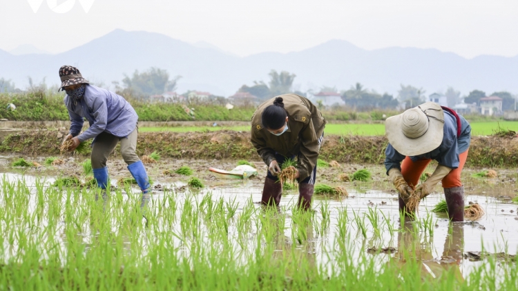 Quam kháo phổng Tày Bắc thứ 3 mự 07 căm bườn 02 pì 2023