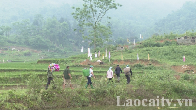 Tết Thanh minh các dân tộc thiểu số ở Lào Cai 