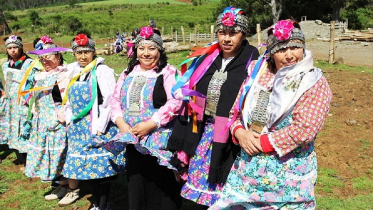Người Mapuche - dân tộc thiểu số bản địa lớn nhất ở Chile