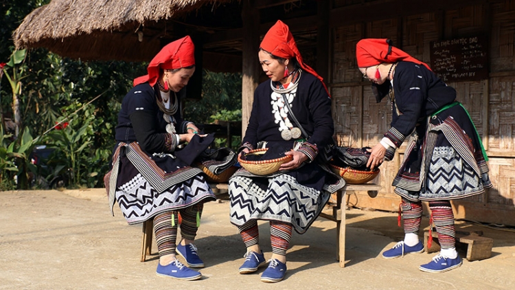 Lầy tzình páo dung hoi 14.11.2023