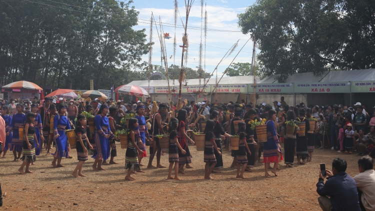 Tal pơplông čeo song nan hăng ngui atông čing hơgor tơring glông Ia Grai, tơring čar Gia Lai