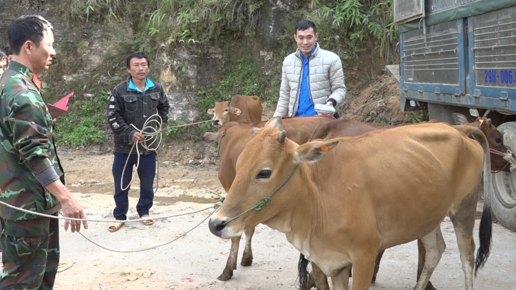 Jơlan hơdră dêh čar pơtrun: Kah pơpha bruă mă kiăo tui gưl, jao tơlơi đăo kơnang