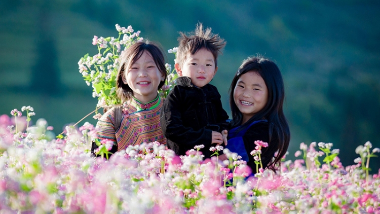 Ngắm nhìn cao nguyên đá nở hoa trên mảnh đất Hà Giang