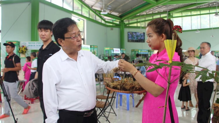 Quảng Nam: Độc đáo Lễ hội Sâm Ngọc Linh năm 2024 