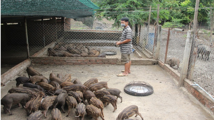 SLON PANG TẲNG COỎC LIỆNG MU CHẢO DÚ BÚNG SLUNG