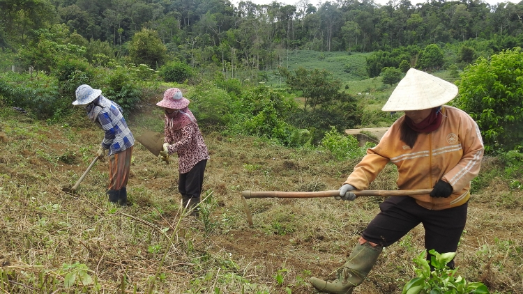 Tơring čar Kon Tum hrưn đĭ kiăng abih bang sang anô̆ ƀun rin hmâo lŏn dô̆ hăng lŏn ngă đang hmua 