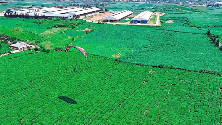 Sơn La đón trên 3,8 triệu lượt khách du lịch