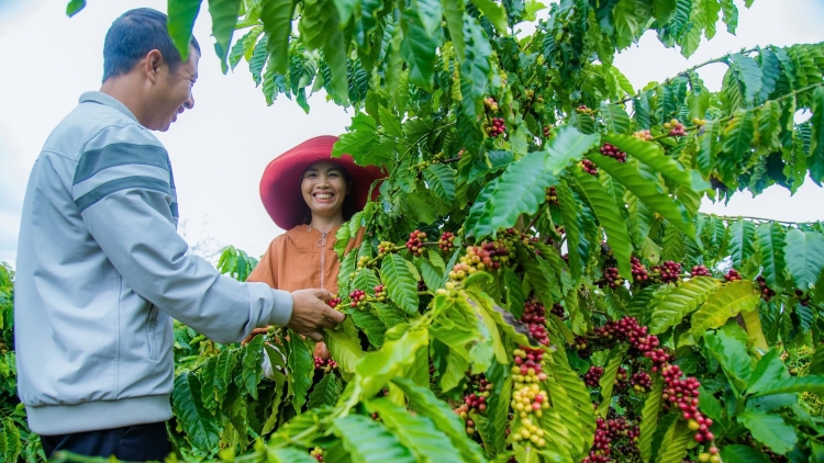 Đắk Mil - huyện biên giới đầu tiên của Tây Nguyên hoàn thành các mục tiêu xây dựng nông thôn mới