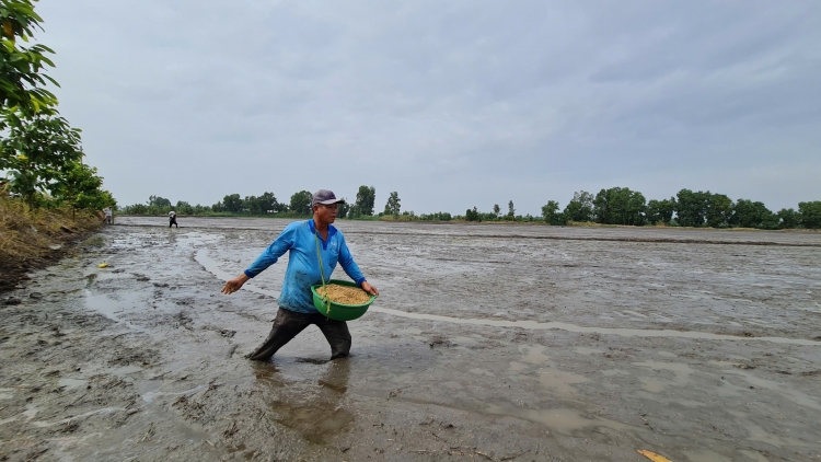 ខេត្តហូវយ៉ាងប្តេជ្ញាអនុវត្តជោគជ័យនូវស្រូវរដូវសម្រក