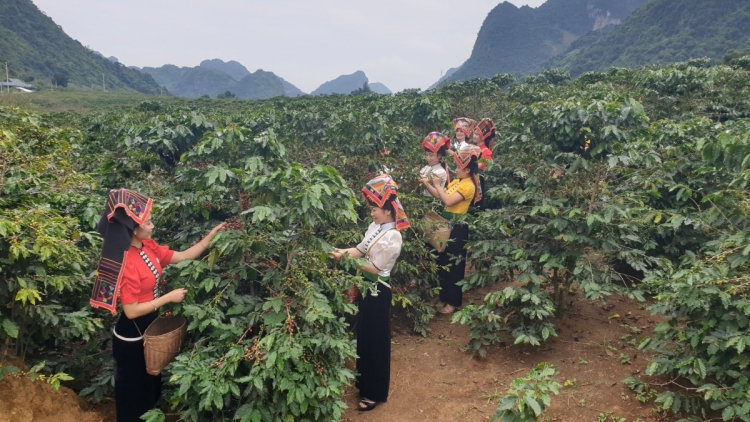 Sơn La giảm hơn 11%tỷ lệ hộ nghèo trong 3 năm