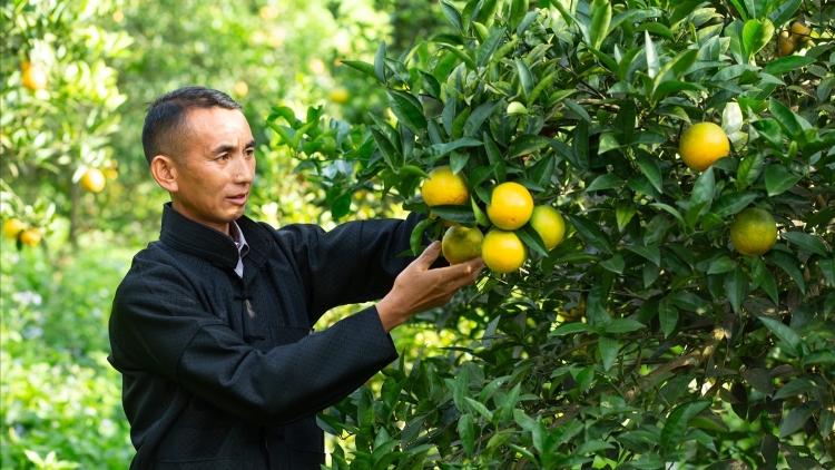 Vị trưởng thôn Suối Thầu và những nghĩa cử vì cộng đồng