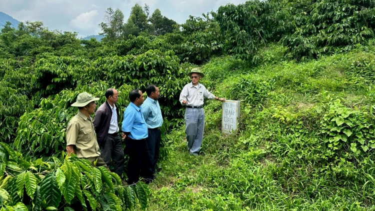 Căn cứ H9 Đắk Lắk - Nửa thế kỷ còn thắm trang sử chiến khu xưa