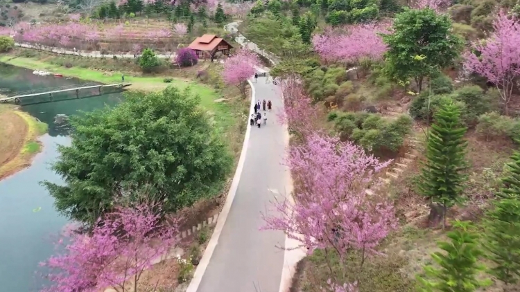 Sơn La - điểm đến lý tưởng du xuân Tây Bắc đầu năm