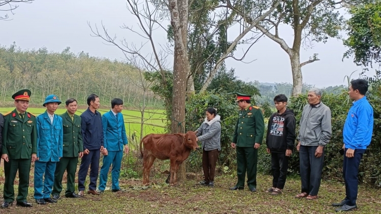 Quảng Bình: Tặng bò và sinh kế giúp gia đình hoàn cảnh khó khăn có thanh niên nhập ngũ