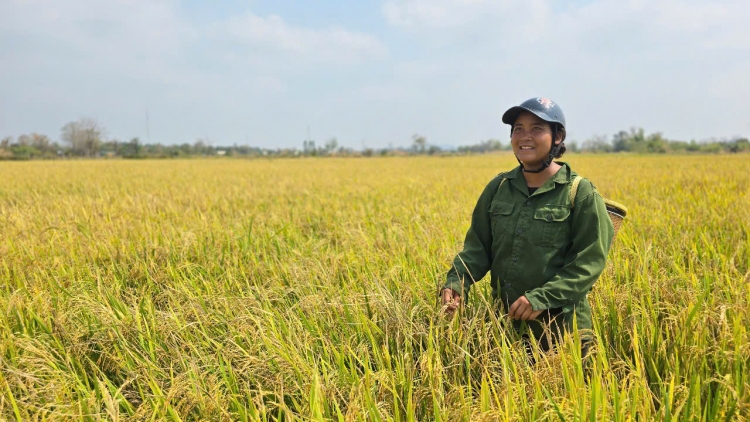 Gia Lai: Giải cơn khát vùng Chư Prông