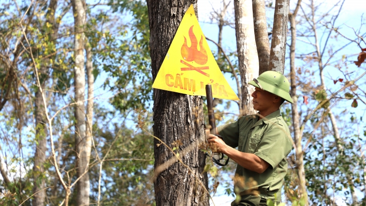 Đắk Nông chủ động phòng chống cháy rừng
