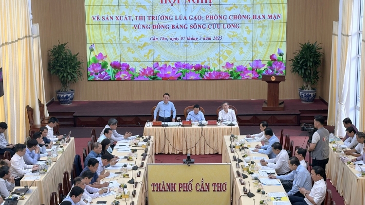 Phó Thủ tướng Trần Hồng Hà: Cần tư duy mới để quản lý thị trường lúa gạo