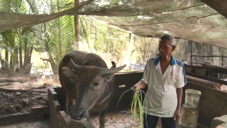 សេដ្ឋកិច្ចរីកចម្រើន ជីវភាពរស់នៅរបស់បងប្អូនខ្មែរនៅ ហ្គ័រក្វាវ កាន់តែប្រសើរឡើងពីមួយថ្ងៃទៅមួយថ្ងៃ