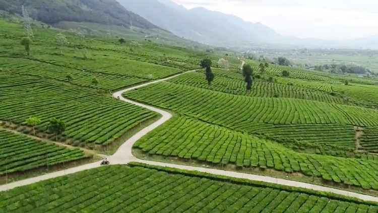  Quam kháo phổng Tày Bắc thứ 3 mự 13 căm bườn 5 pì 2025