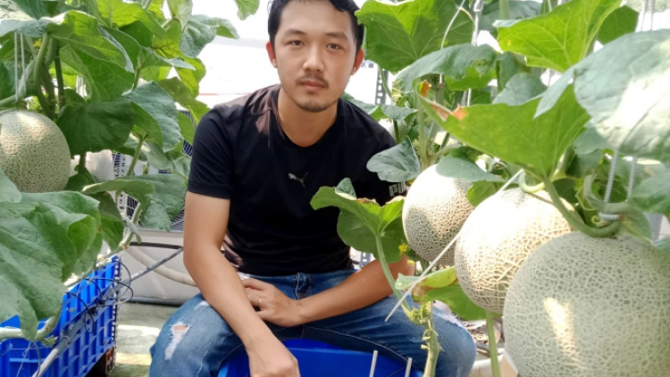 BRUK PALA TAMUN DƯA LƯỚI DI BEIN ANGAOK TABUNG SANG