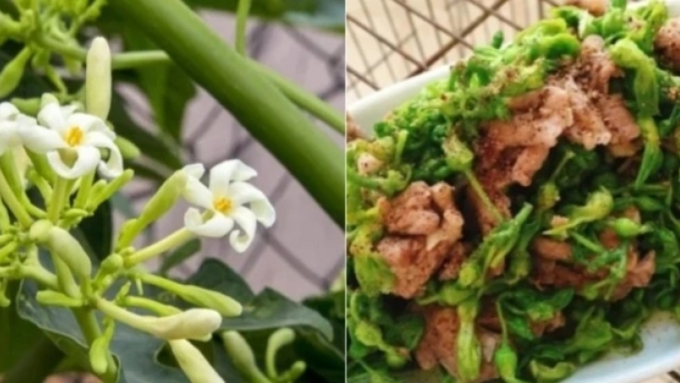 ZƠ NƯƠU ĐƯƠI TƠỢ ĐÁC C’ROÓT TRÂM PÔ ĐU ĐỦ CONH