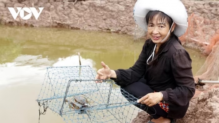 ពត៌មាន ម៉ោង ១៥