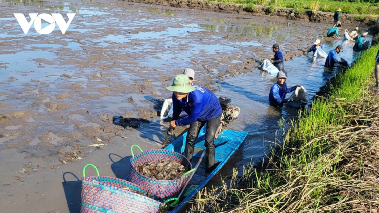 MEK HU RILO JIEN MENG BRUK RAONG HADANG DI AR PACANG IA MBAK