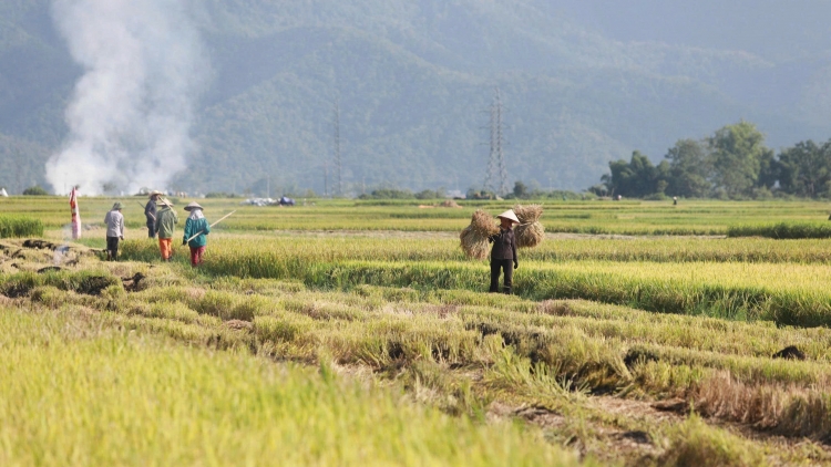 Chường trình phát thanh thứ 4 mự 04 căm bườn 6 pì 2025