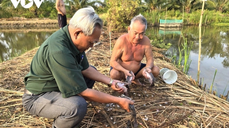 CA MAU: HU JALAN KAREI, DAONG URANG TAHA U80 RAONG IKAN BEI JAK JENG