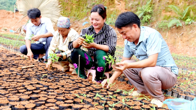 BẮC QUANG: CHI BỘ HẾT ĐÂY, ĐẢNG MẮN RÈNG, PỈ NOỌNG SLỨN SLIM