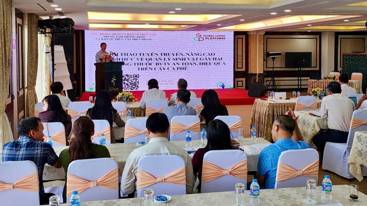 Tây Nguyên mơdêk pêt tơvât kơphế ƀă xúa pơkeăng rak vế hdrê kơchâi plâi pôm ai hnoăng