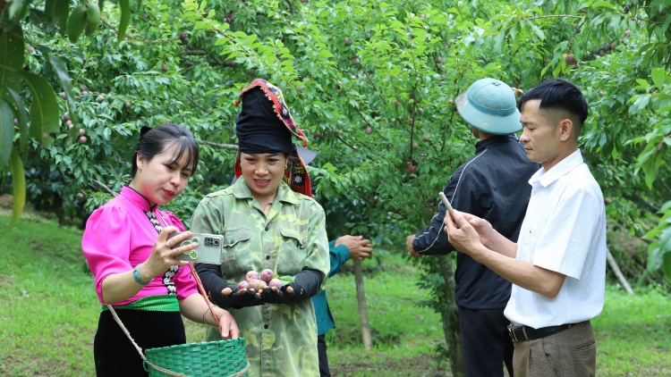 R’RỘ R’RĂM “G’LUH TR’CÂL” P’LÊÊ P’COO ĐHỊ NANG CHR’NOH ÂNG ĐHA NUÔR SƠN LA