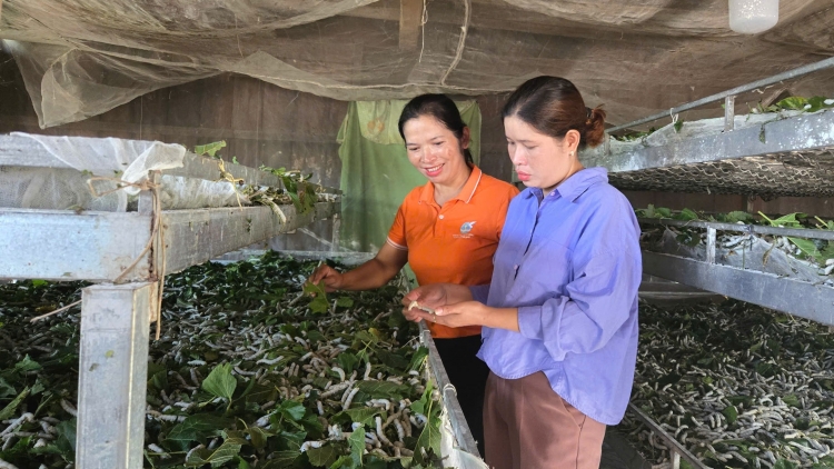 Tơring hơtăih hơtŏ Đam Rông klăih đơ̆ng dơnuh hin gơnang đơ̆ng pơtăm mơmur rong hơdrông