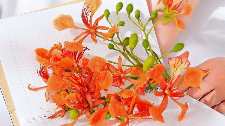 CHƯƠNG TRÌNH KHAY HENG TÀY - NÙNG (Thứ Bảy, Vằn 14/6/2025)