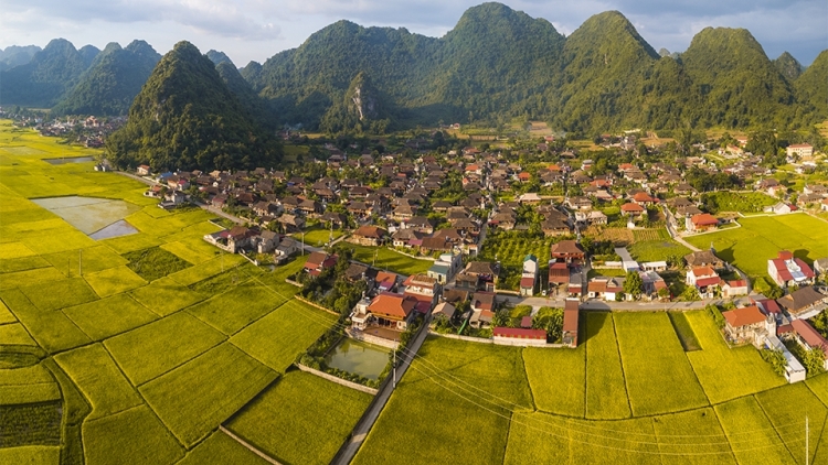CHÚC ĐẠI HỘI ĐẢNG