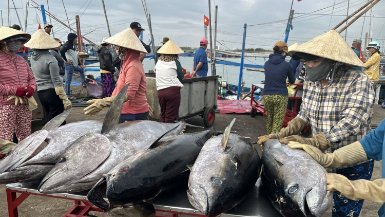 Ƀon lan lơh joi ka Dak Lak wơt nău lap bôk năm