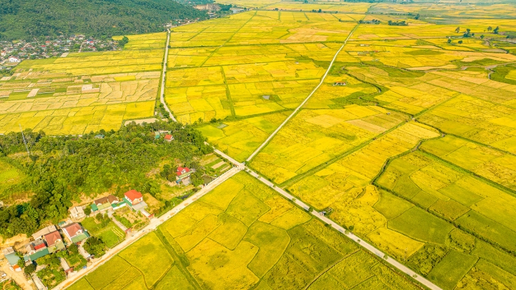  Đón Tết cùng VTV 2026 – BAY GIỮA CÁNH ĐỒNG XUÂN phần 1