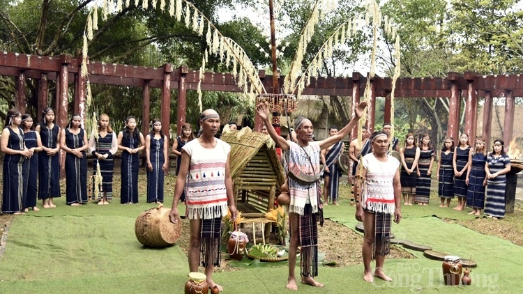 Tơma hòi yàng kòi