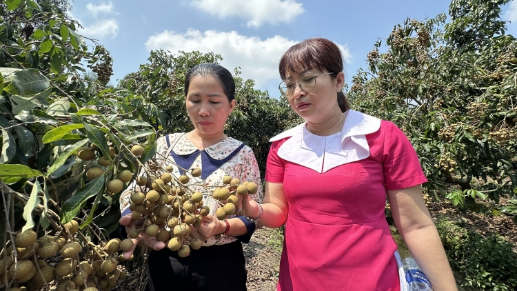 ĐHANUÔR PAY PA CHÔ ZÊN TỶ TƠỢ BH’RỢ CHOH NHÃN ĐƠƠNG PA CÂL OOY THỊ TRƯỜNG K’ĐHAP