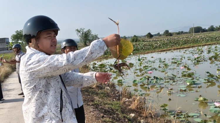 Tam tờm sen pơgồp bal lơh lòt nhơl rơ̆p ai geh bơta kwơ dơ̆ lĕ bal làng bol lơh broă sa suơn sre in 