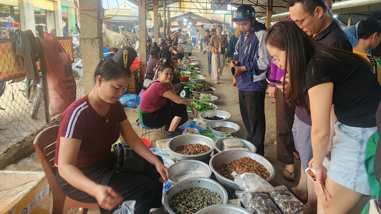 Độc đáo chợ côn trùng Nà Si: “Món lạ” níu chân du khách tới Tây Bắc