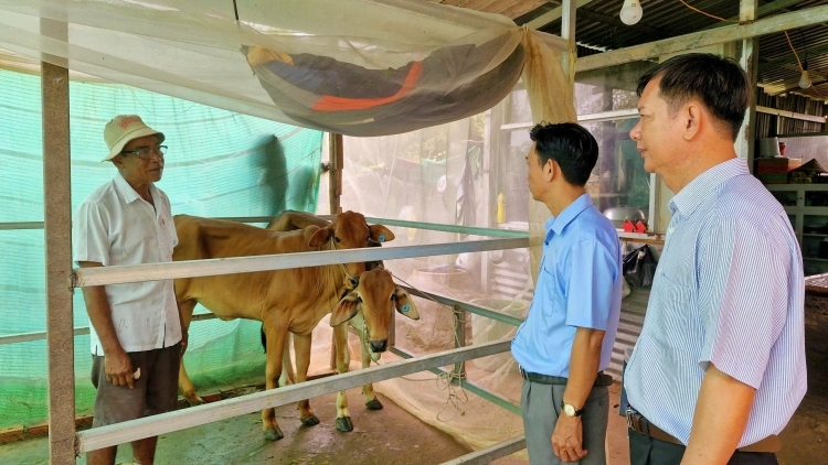 កាត់បន្ថយភាពក្រីក្រដោយចីរភាពក្នុងតំបន់ជនរួមជាតិភាគតិចនៅកឹងធើ។